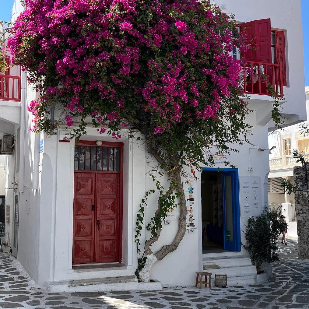 MYKONOS: 4 RESTAURANTS & A MOVIE