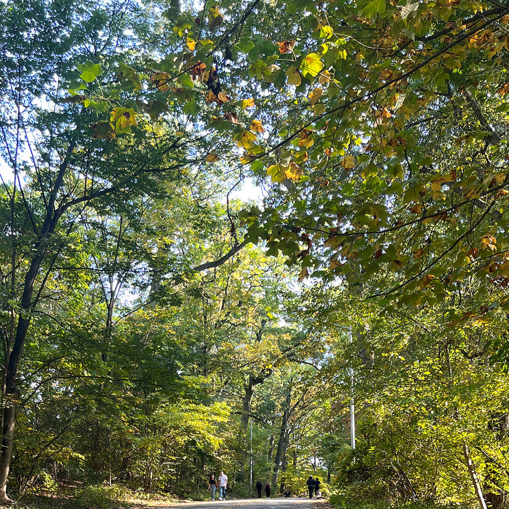 BOSTON'S GREAT OUTDOORS!