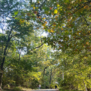 BOSTON'S GREAT OUTDOORS!